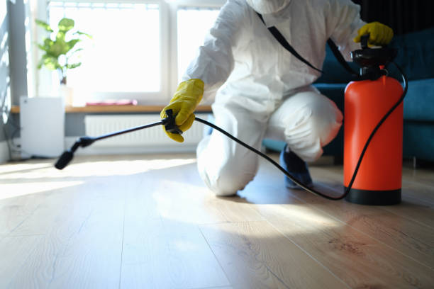Reliable Odor Removal contractor in Kennebunk, ME by Trauma Clean Pros